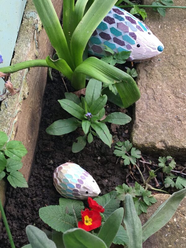 Millicent Hedgehog
