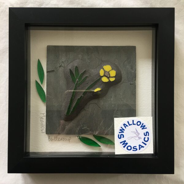 Meadow Flowers Meadow Buttercup